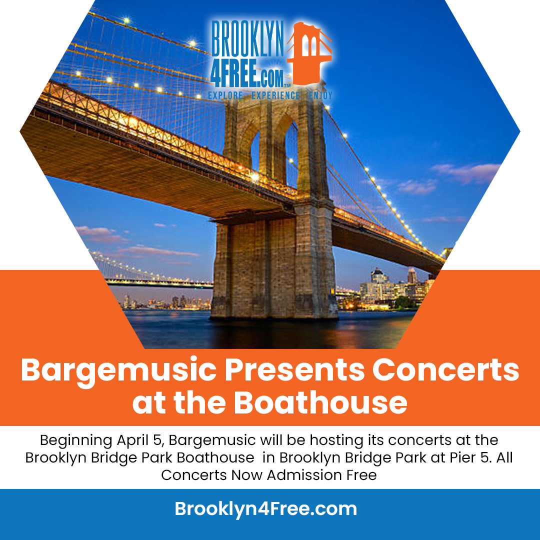 Brooklyn Ad Design 4